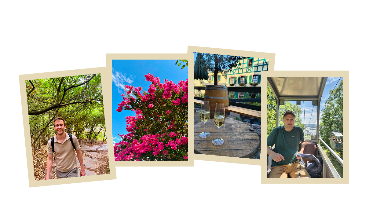 Vakantiefoto's zomer 2026